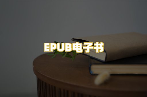 EPUB电子书